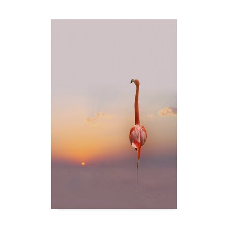 Trademark Fine Art